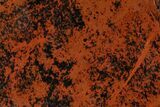 Polished Mahogany Obsidian Section - Mexico #153575-1